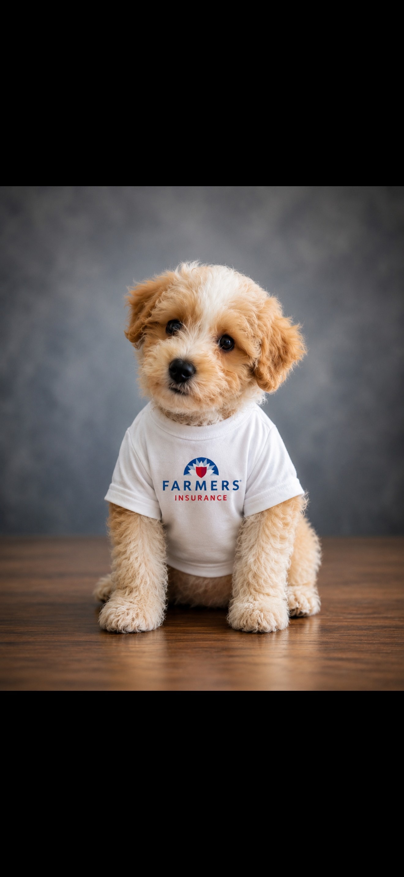 Charlie Luna, Anna Luna Agency mascot puppy wearing a Farmers Insurance shirt